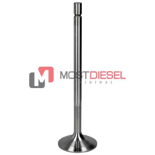 Intake Valve