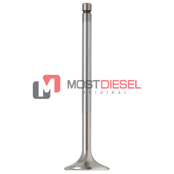 Exhaust Valve