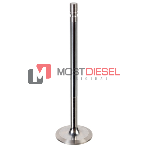 Exhaust Valve