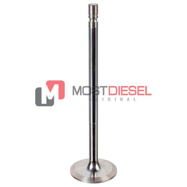 Intake Valve
