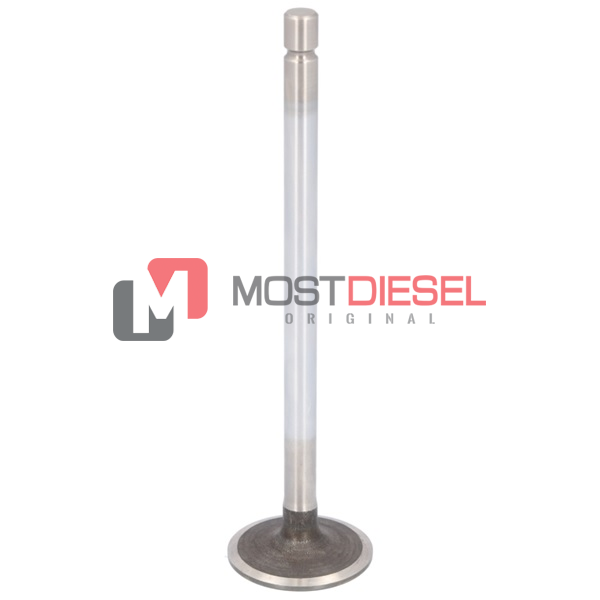 Intake Valve