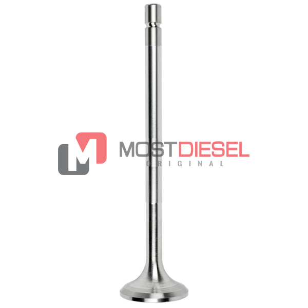 Exhaust Valve
