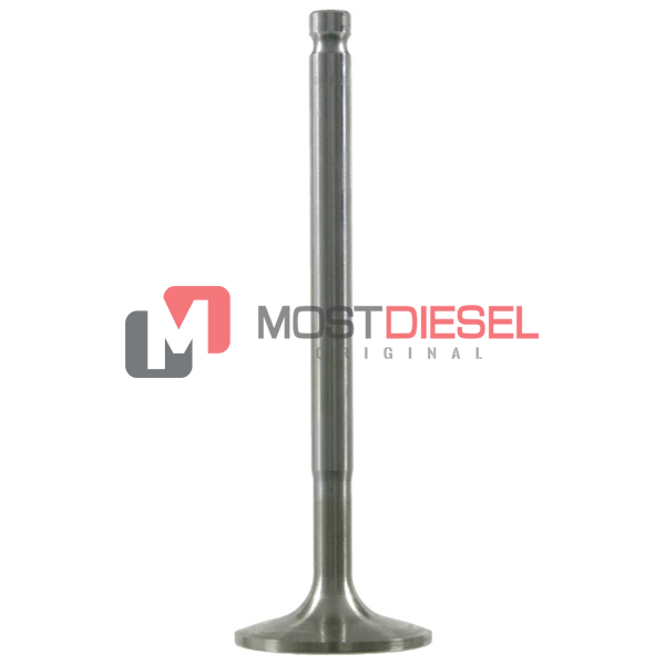 Exhaust Valve