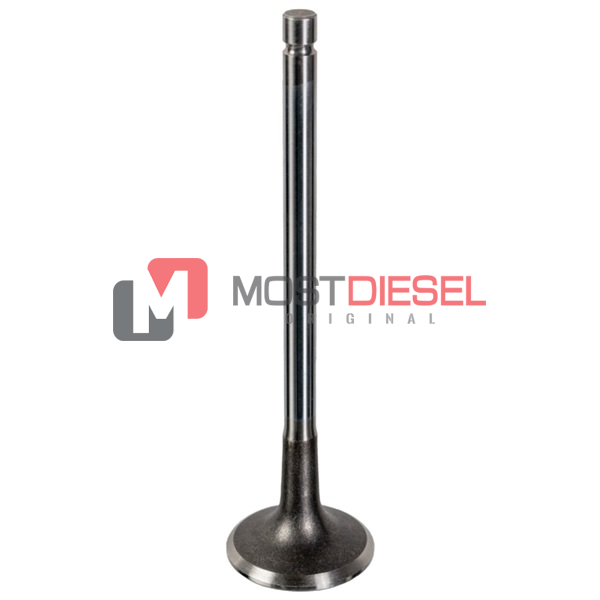 Exhaust Valve