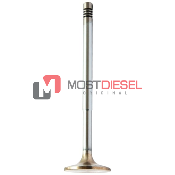 Intake Valve