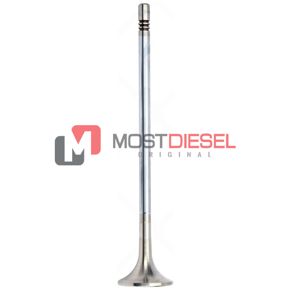 Exhaust Valve