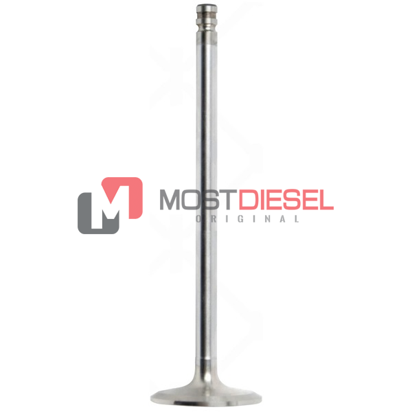 Intake Valve