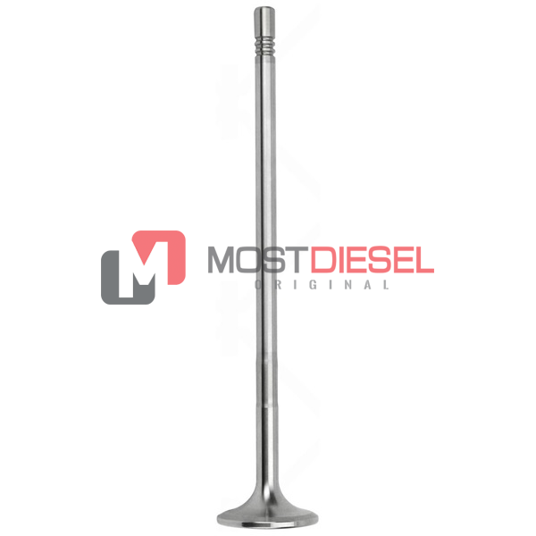 Intake Valve