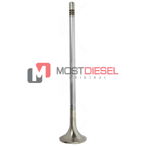 Exhaust Valve