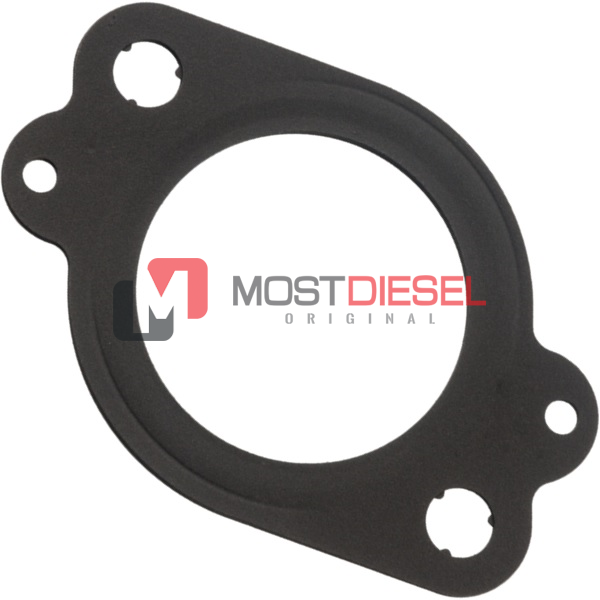 Exhaust Manifold Gasket