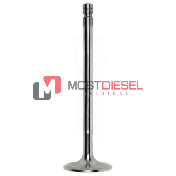 Intake Valve