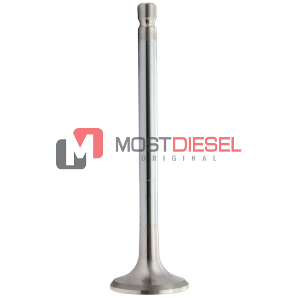 Exhaust Valve