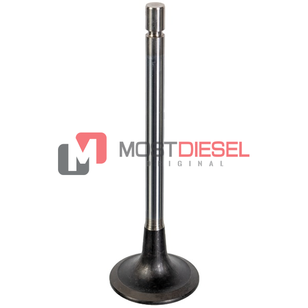 Exhaust Valve
