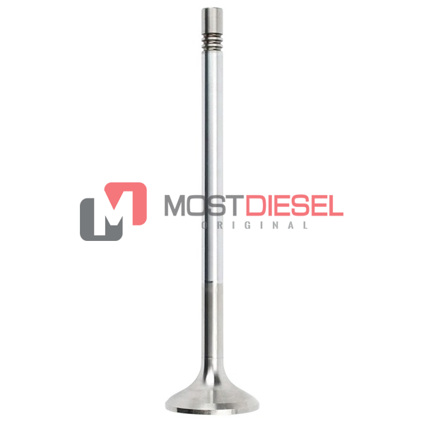 Intake Valve