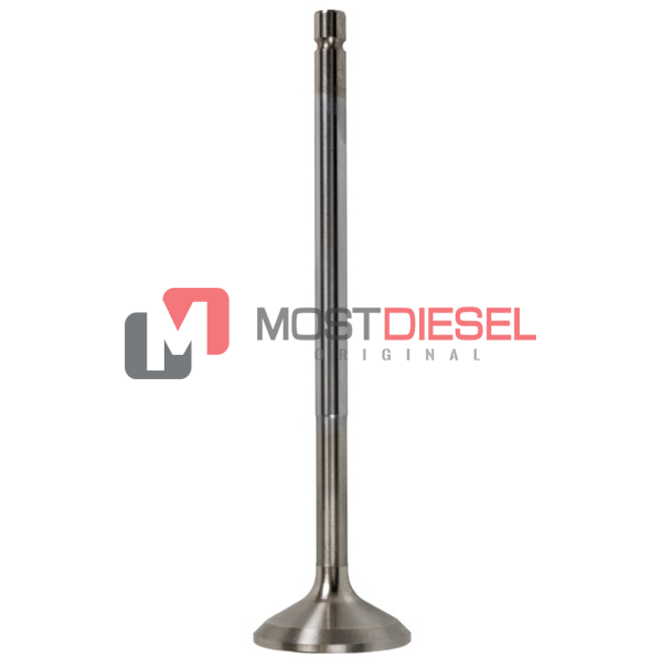 Exhaust Valve