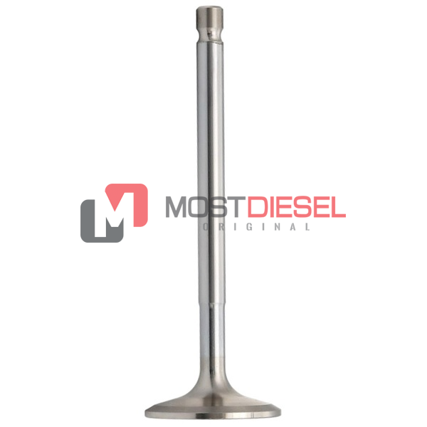 Intake Valve