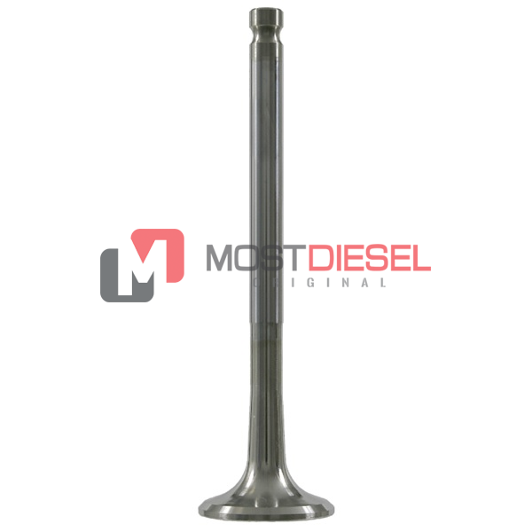 Exhaust Valve