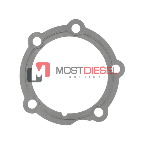 Cylinder Cover Gasket