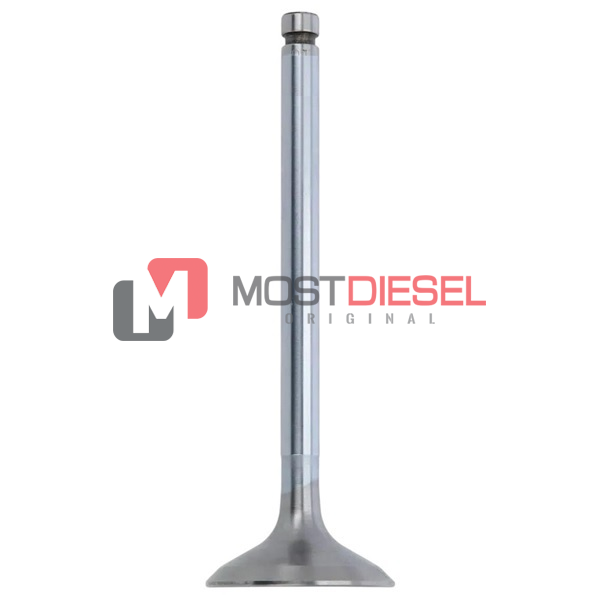 Exhaust Valve