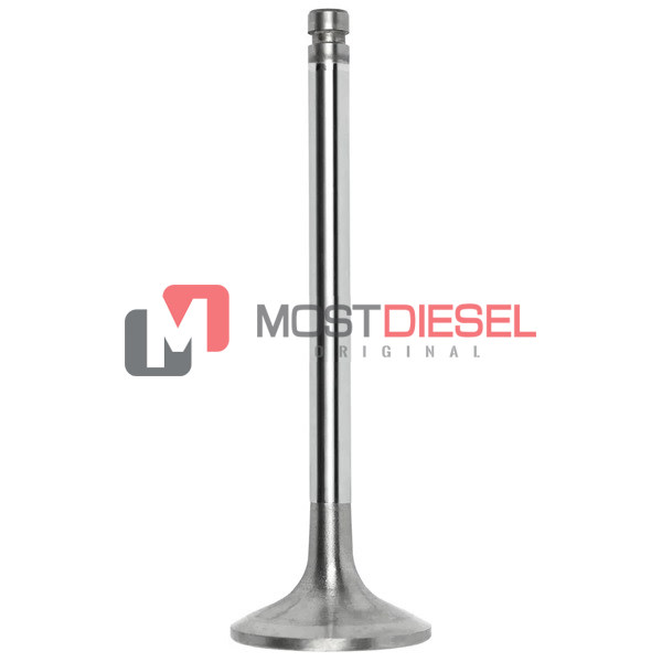 Exhaust Valve
