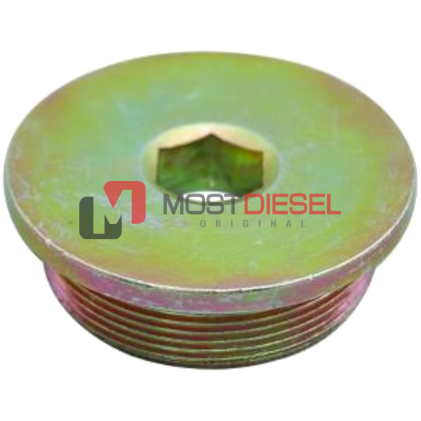 Hub Cap Plug