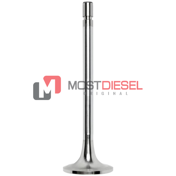 Intake Valve
