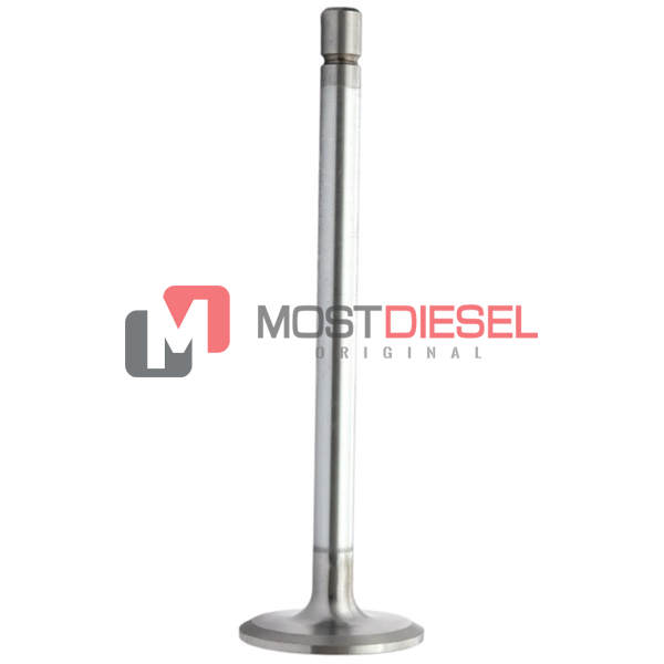 Exhaust Valve
