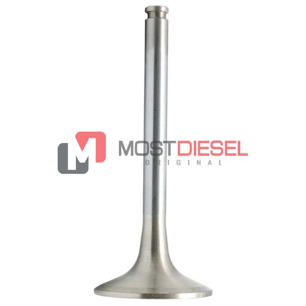 Intake Valve