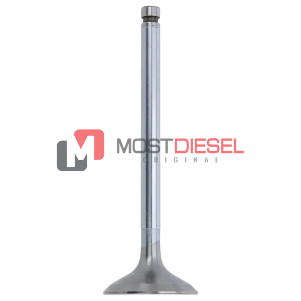 Exhaust Valve