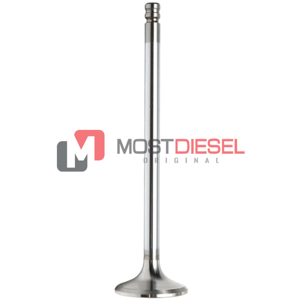 Exhaust Valve