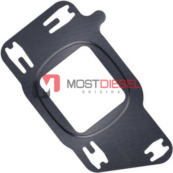 Oil Separator Filter Gasket