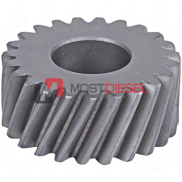 Water Pump Gear