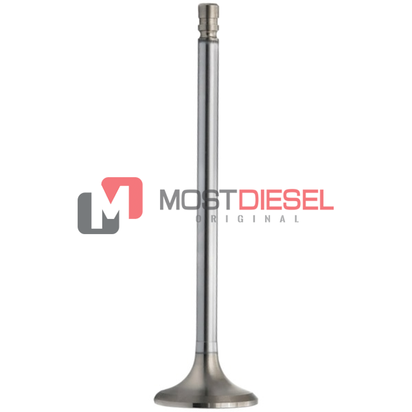 Exhaust Valve