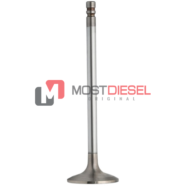 Intake Valve