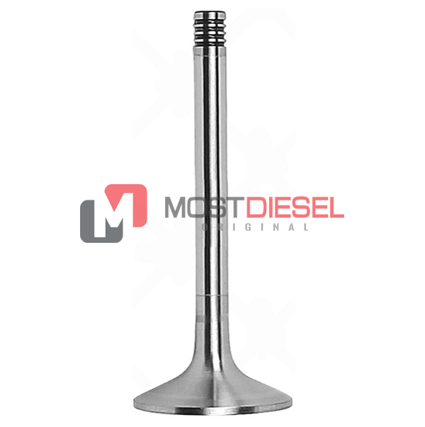 Intake Valve