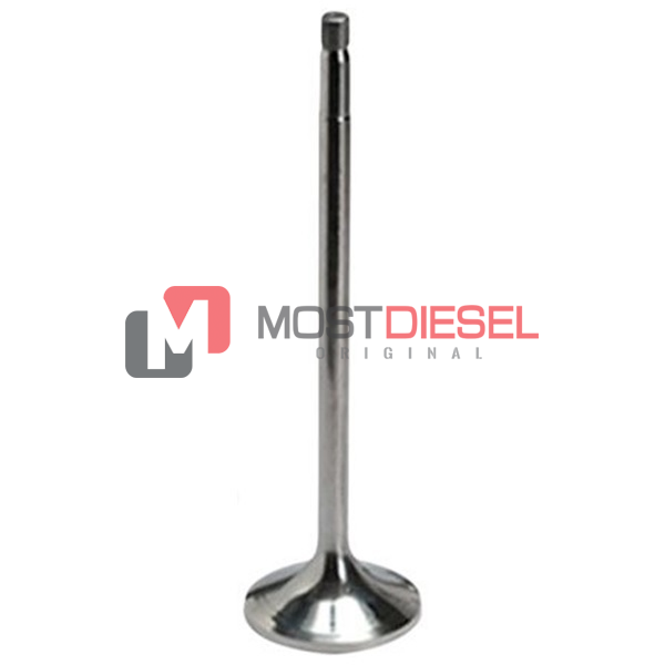 Exhaust Valve