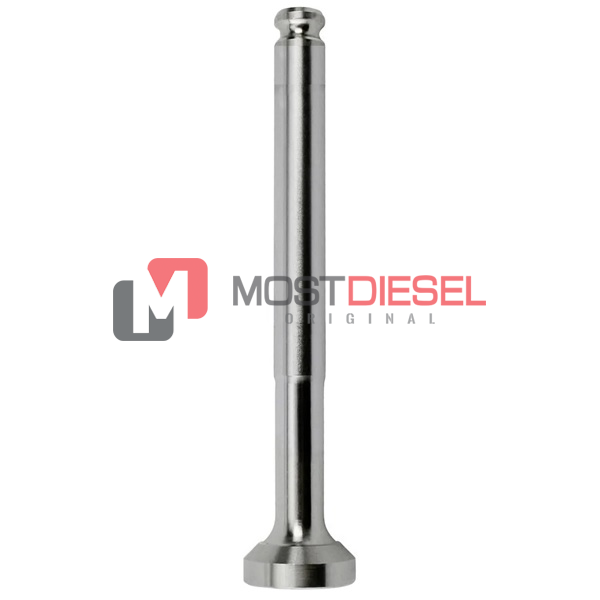 Exhaust Valve ( Brake )