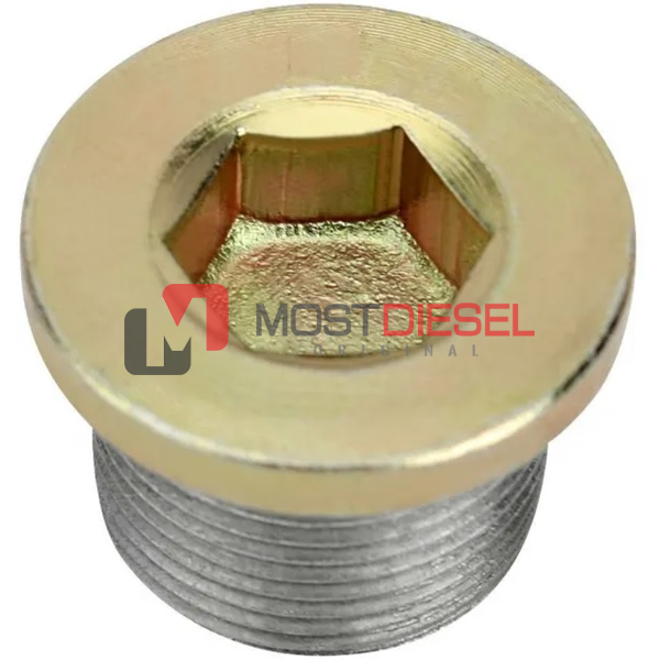 Hub Cap Plug