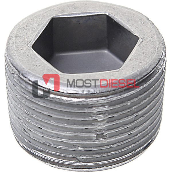 Drain Plug