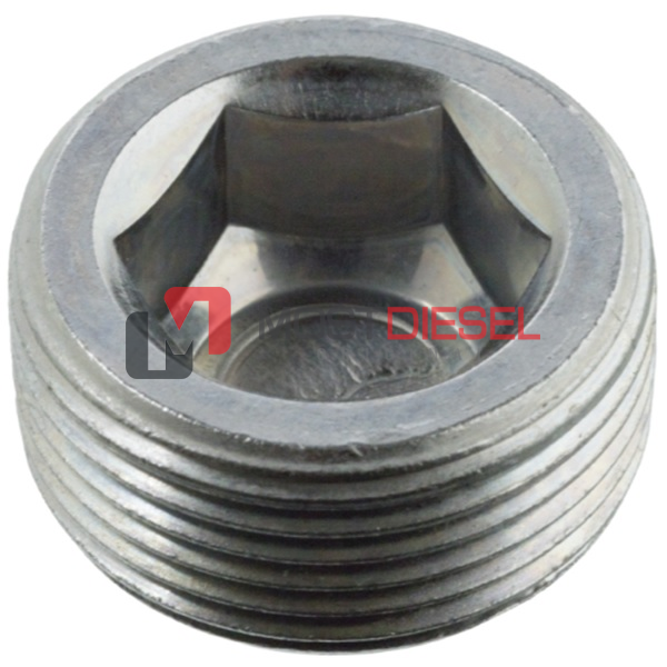 Differential Plug