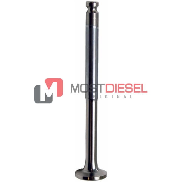 Exhaust Valve