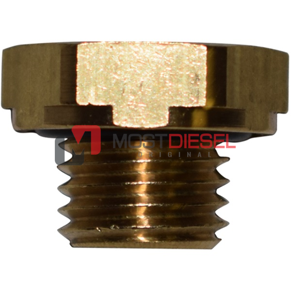 Screw Plug